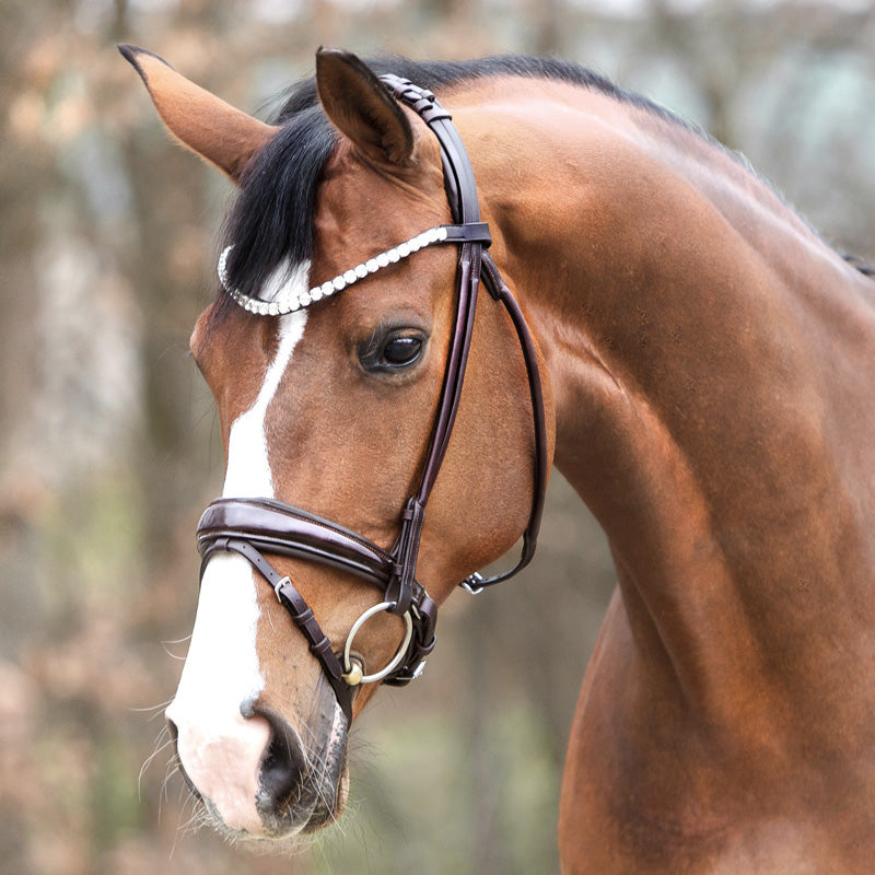 Kavalcade Florina Rolled Patent Leather Bridle