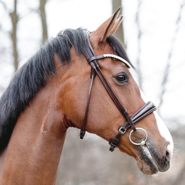 Kavalcade Florina Rolled Patent Leather Bridle