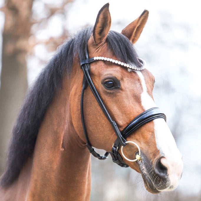 Kavalcade Florina Rolled Patent Leather Bridle