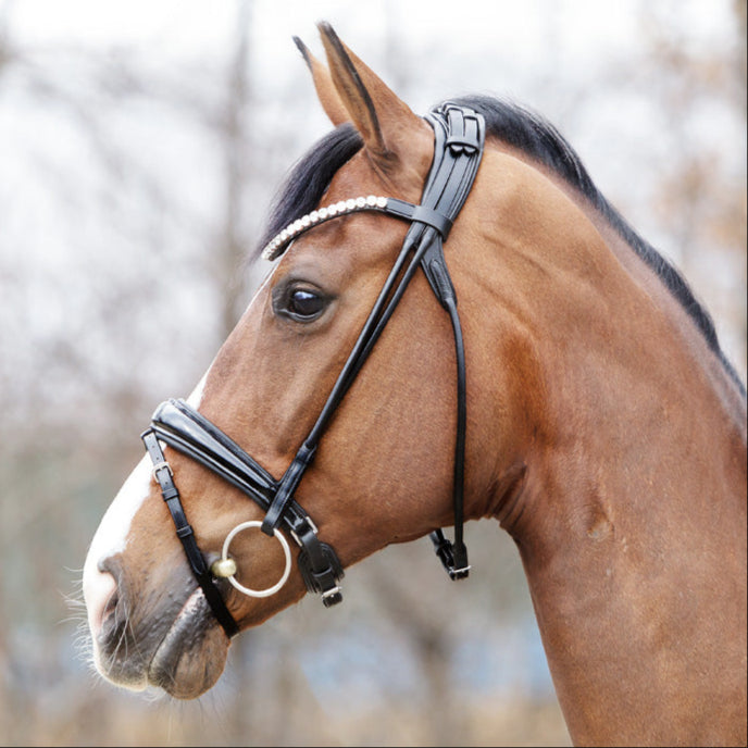 Kavalcade Florina Rolled Patent Leather Bridle