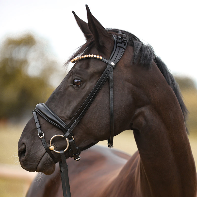 Kavalcade Fortuna Dressage Bridle