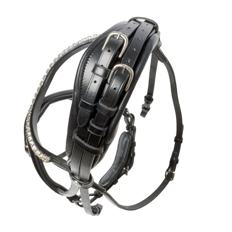 Kavalcade Fortuna Dressage Bridle