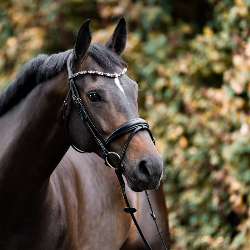 Kavalcade Burgundy Browband
