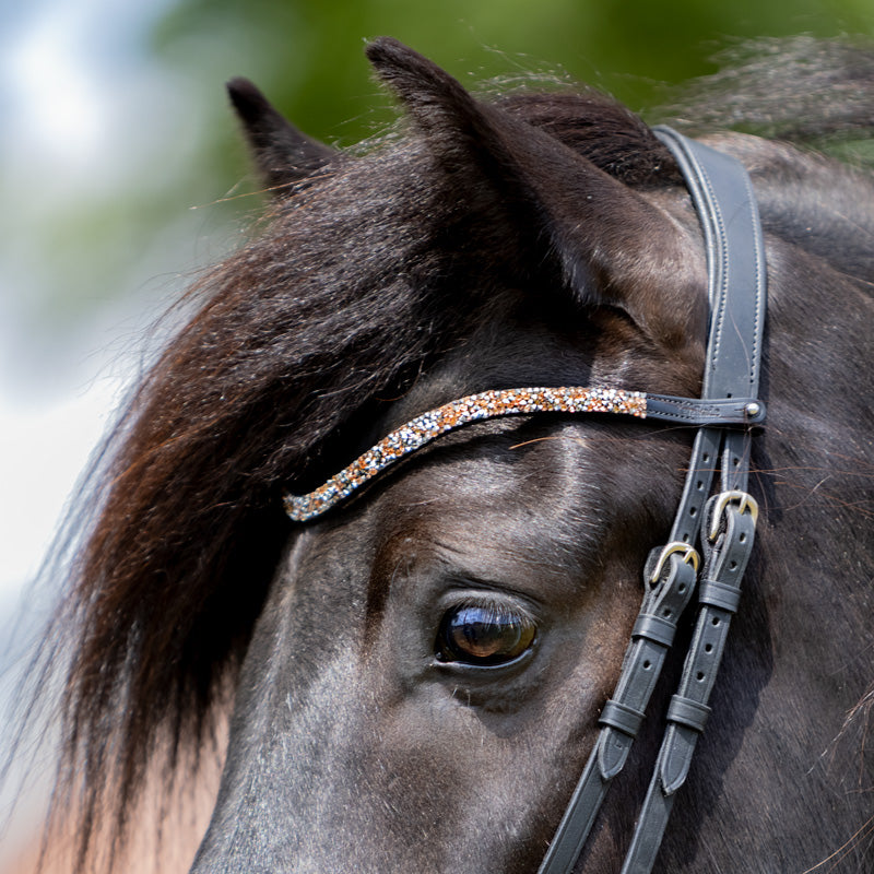 Kavalcade Button Browband