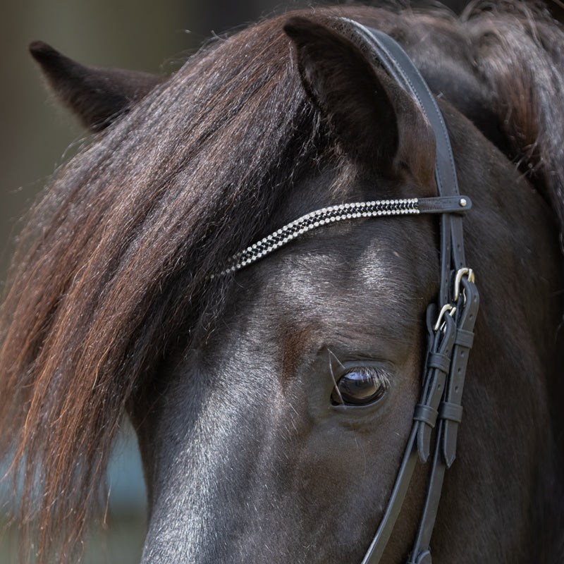 Kavalcade Button Browband