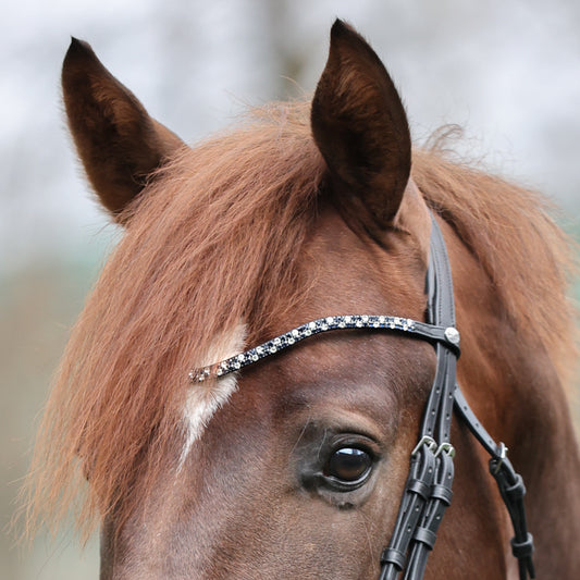 Kavalcade Hopscotch Browband