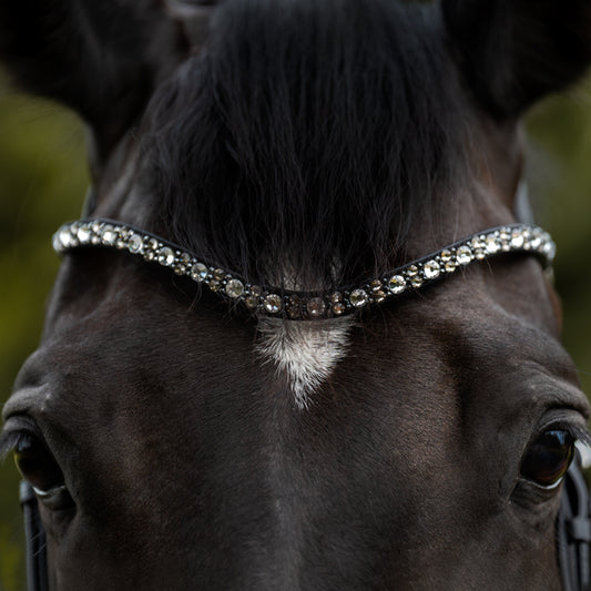 Kavalcade Blaze Browband