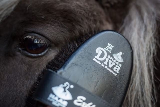 HAAS® Diva Exclusive Brush with Merino Lambswool