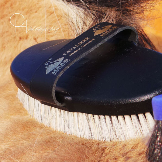 HAAS® Cavaliere Brush