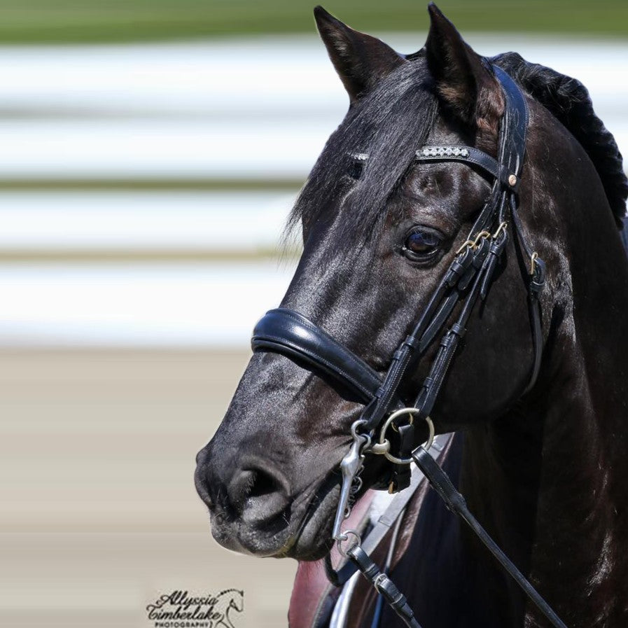 Munich Gold Dressage Double Bridle