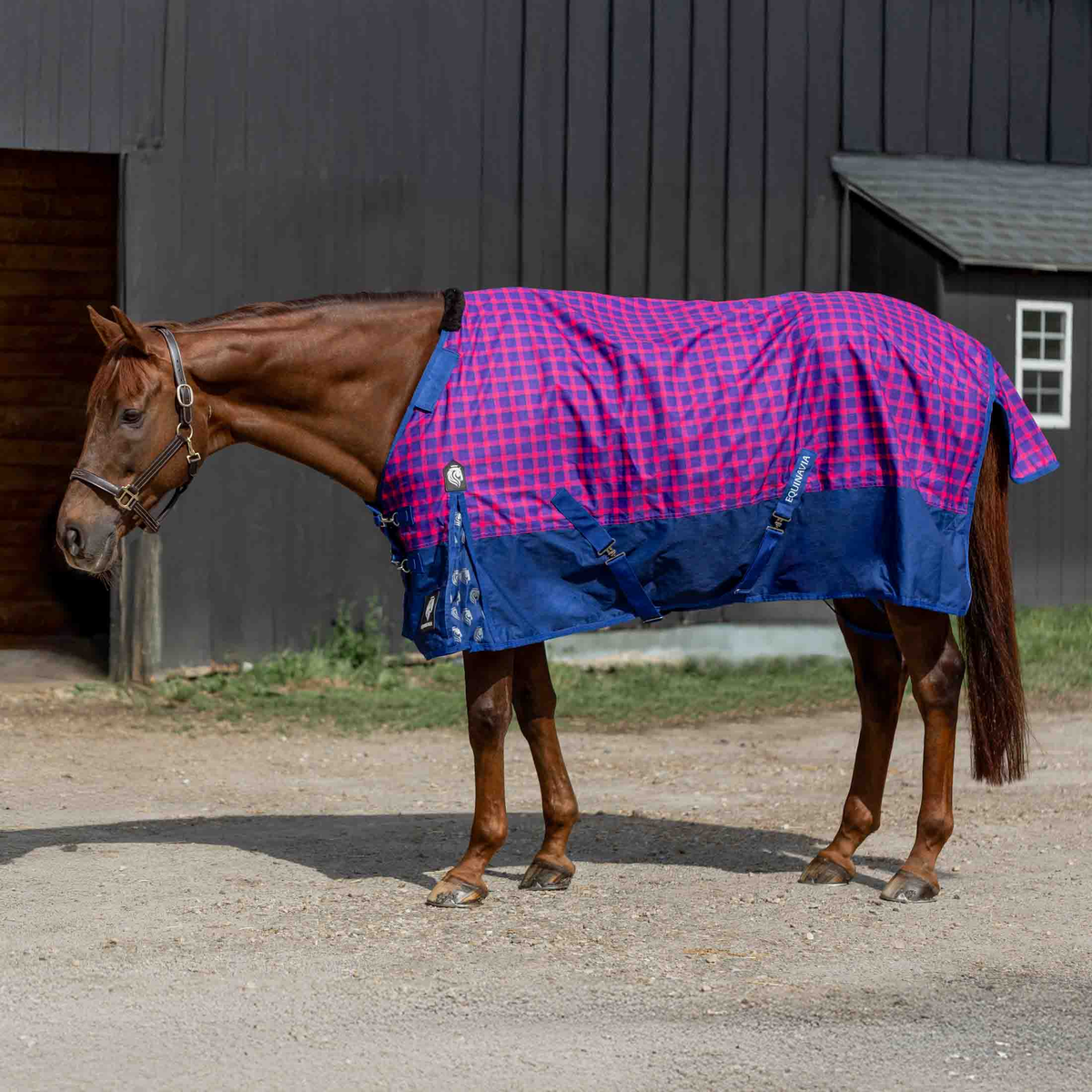 Equinavia Norse Turnout Blanket ('26)
