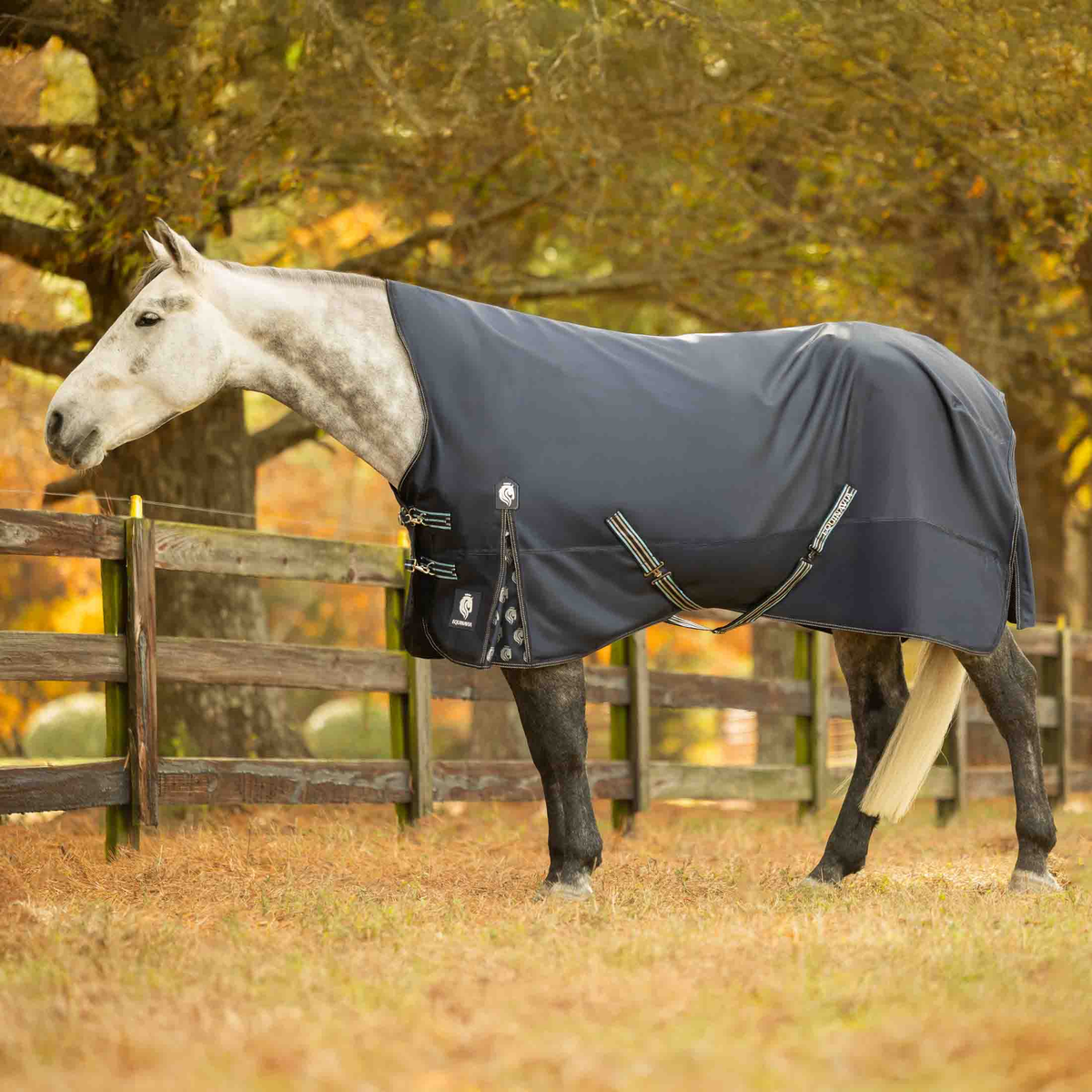 Arktis Extended Neck Turnout Blanket 100g/200g/300g