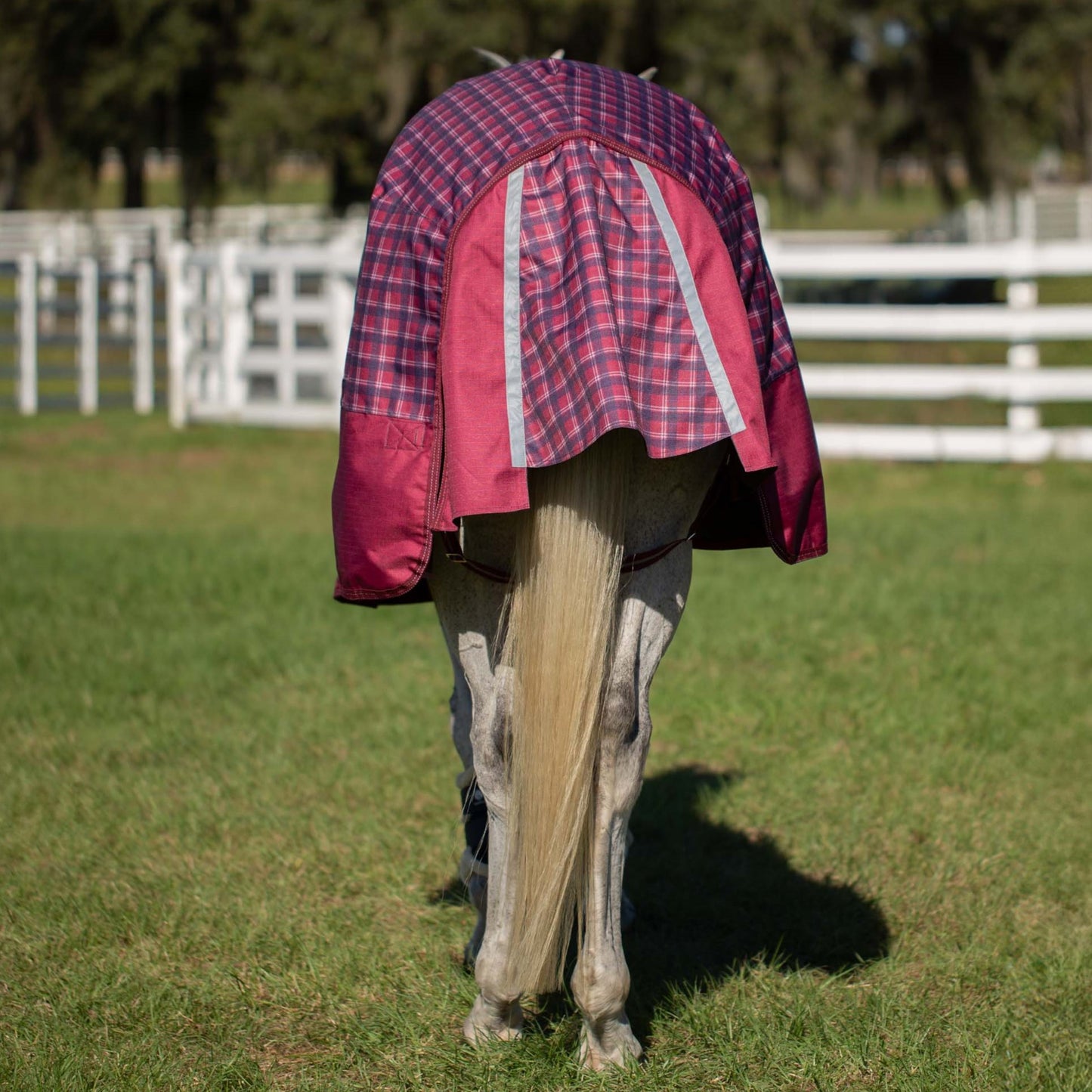 Arktis Turnout Blanket 100g/200g/300g
