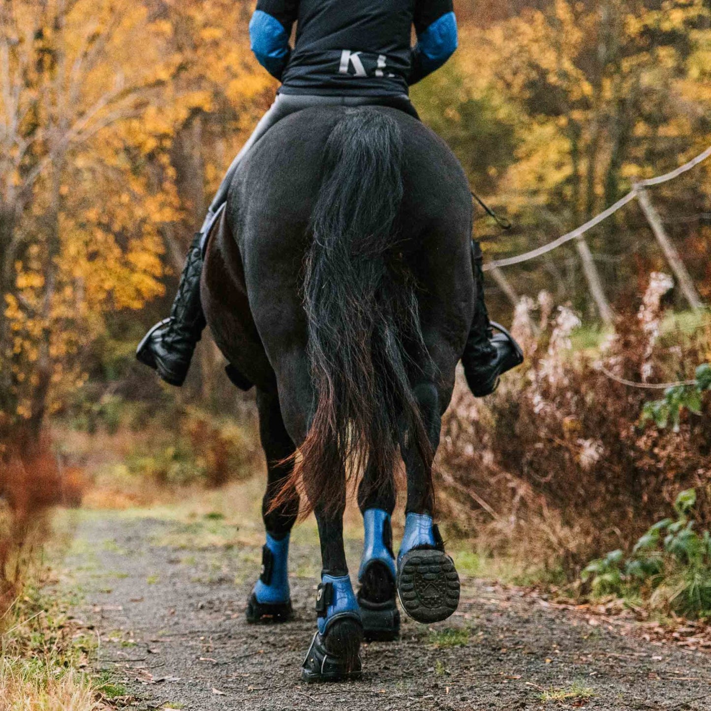 Equine Fusion Dampening Hoof Boot Pads 2.0 (pair)