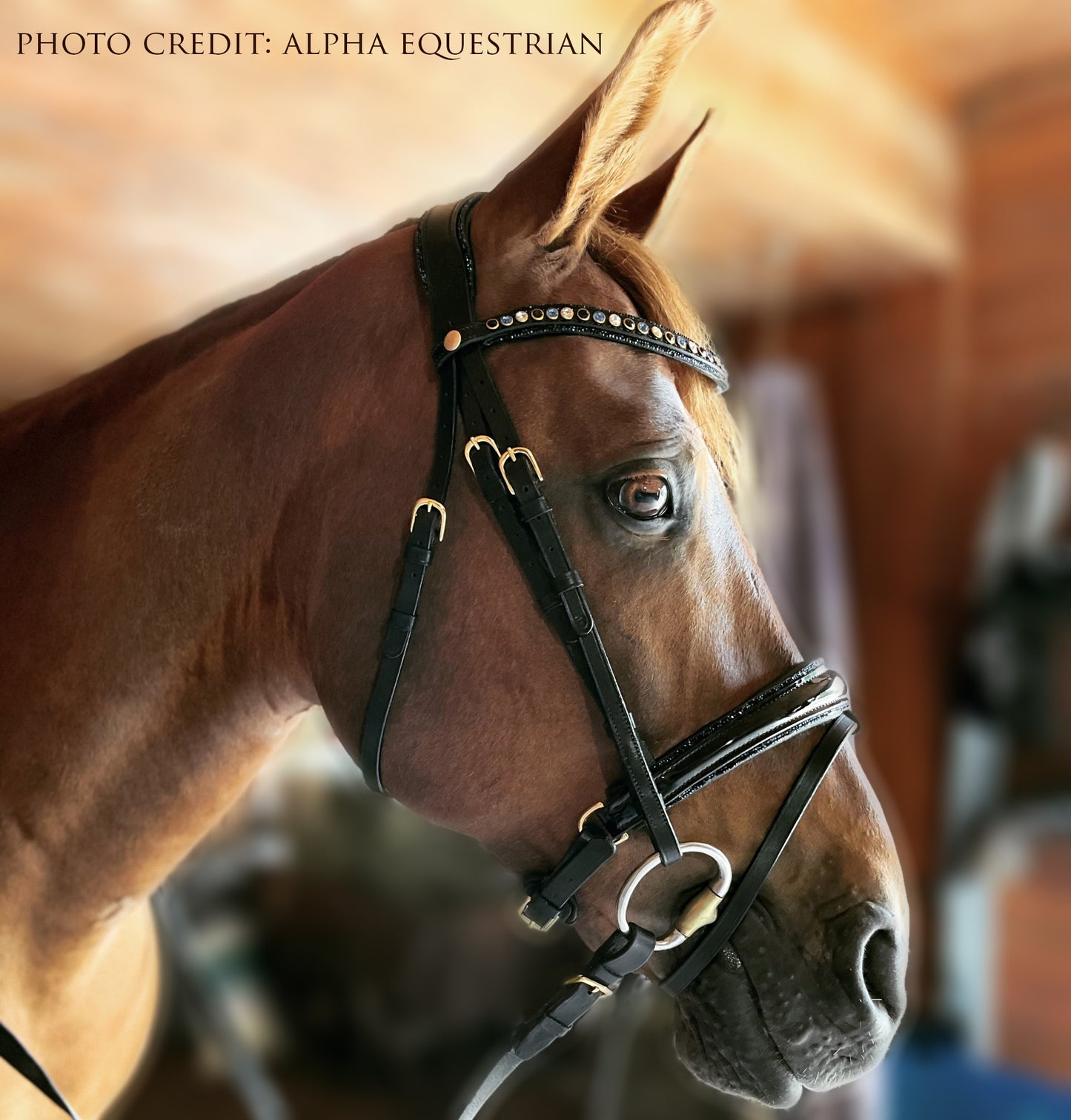 Berlin Blue Snaffle Dressage Bridle