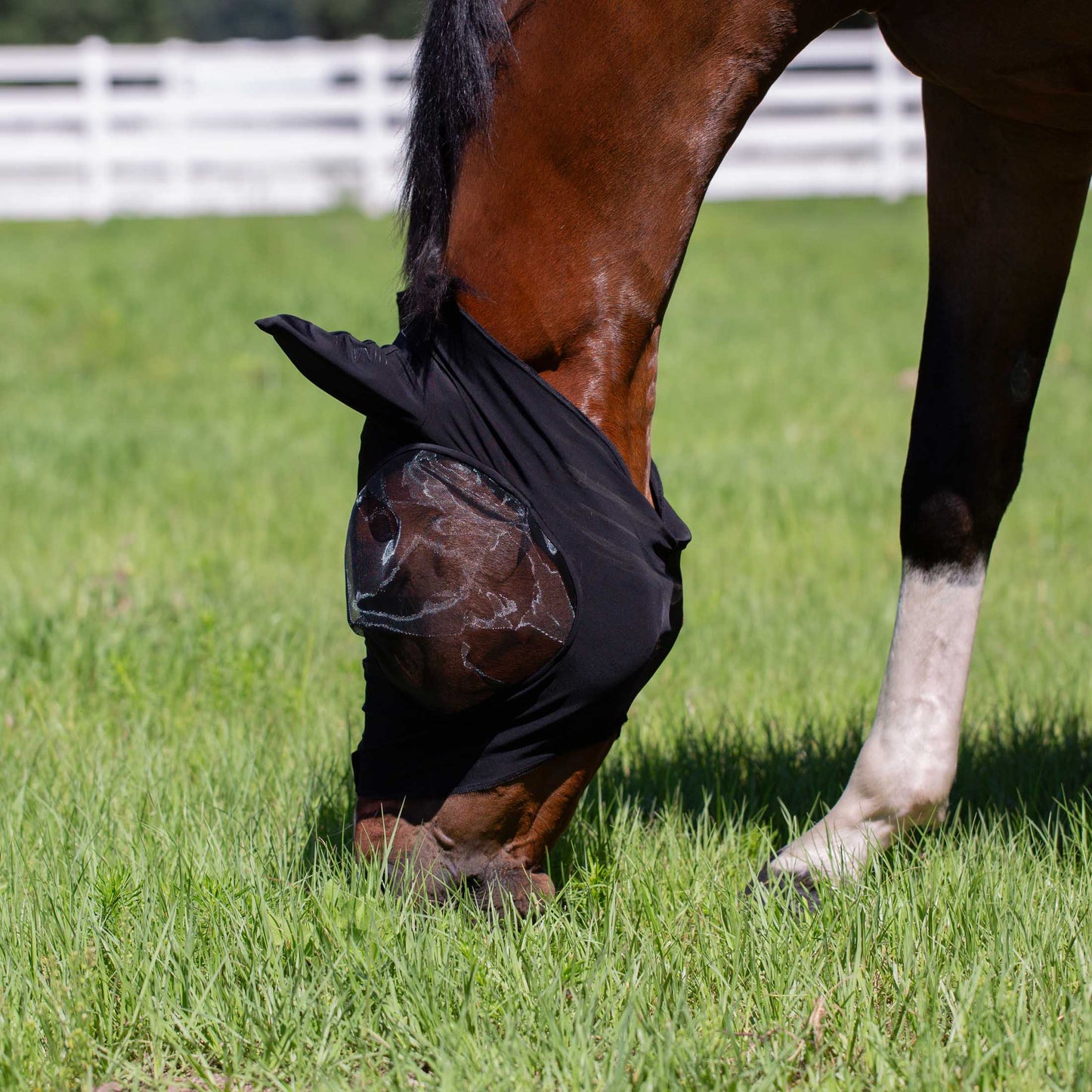 Bug Out Fly Mask