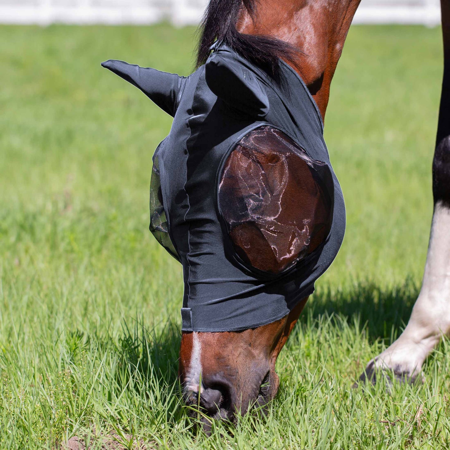 Bug Out Fly Mask