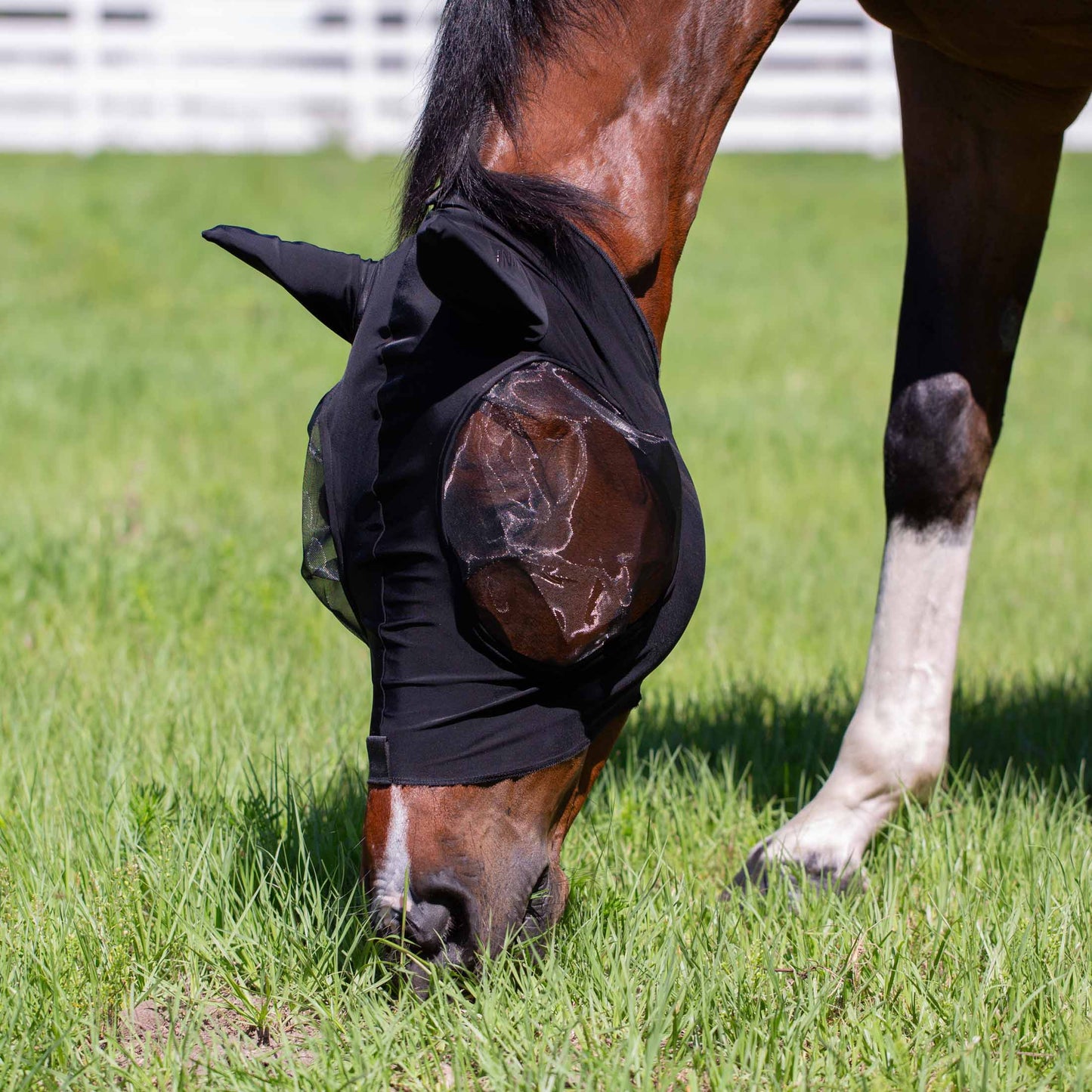 Bug Out Fly Mask