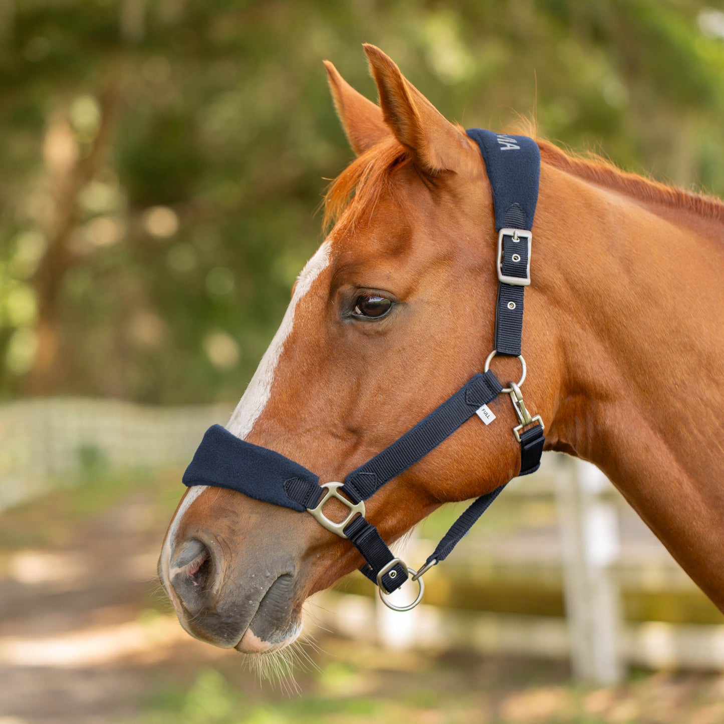 Saga Fleece Padded Breakaway Halter