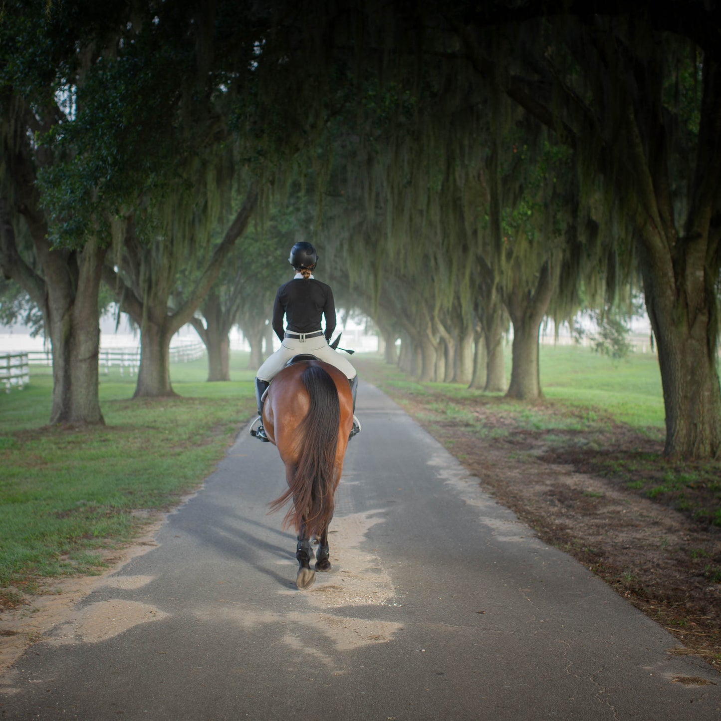 Sara Perforated Long Sleeved Show Shirt