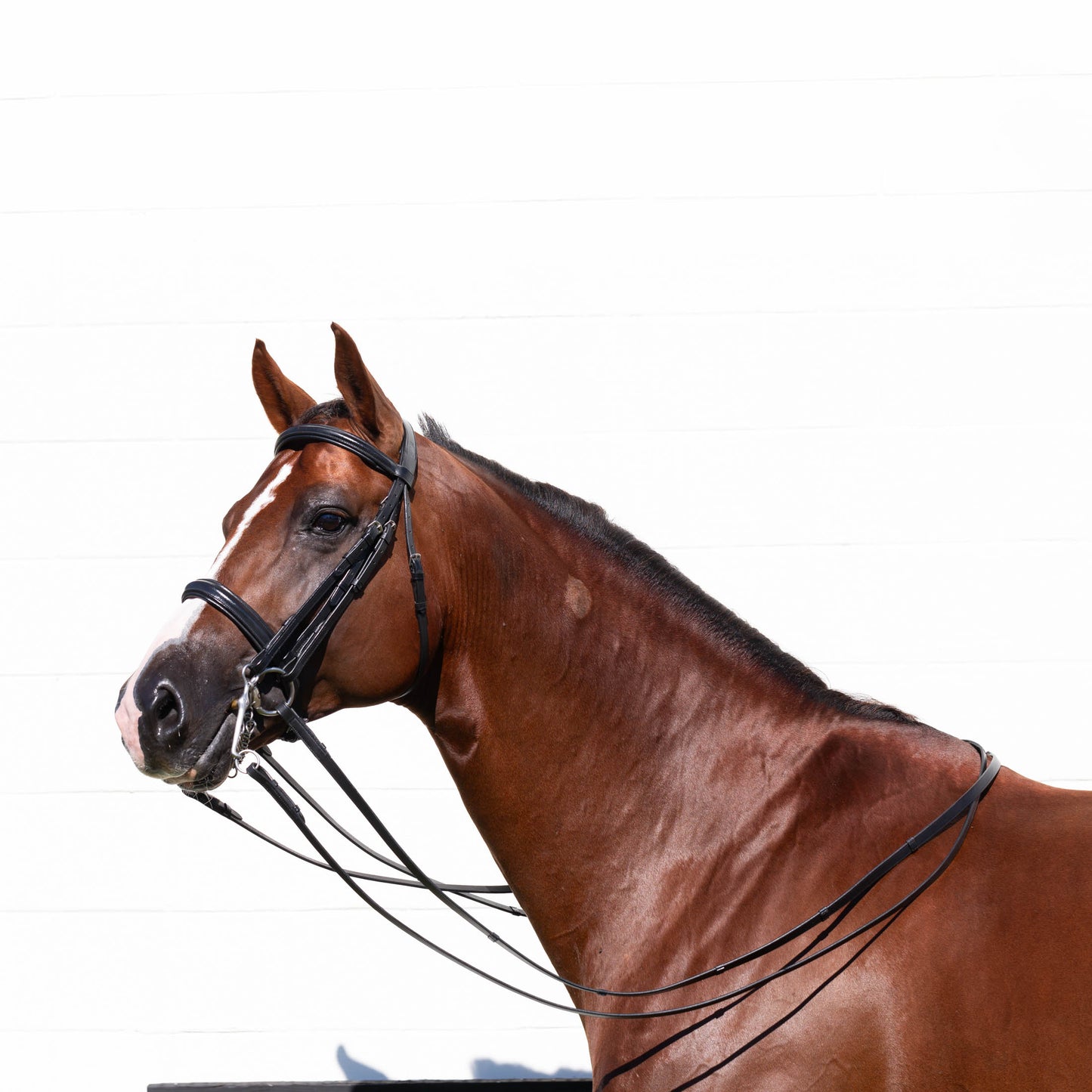 Saga Double Bridle w/ Reins