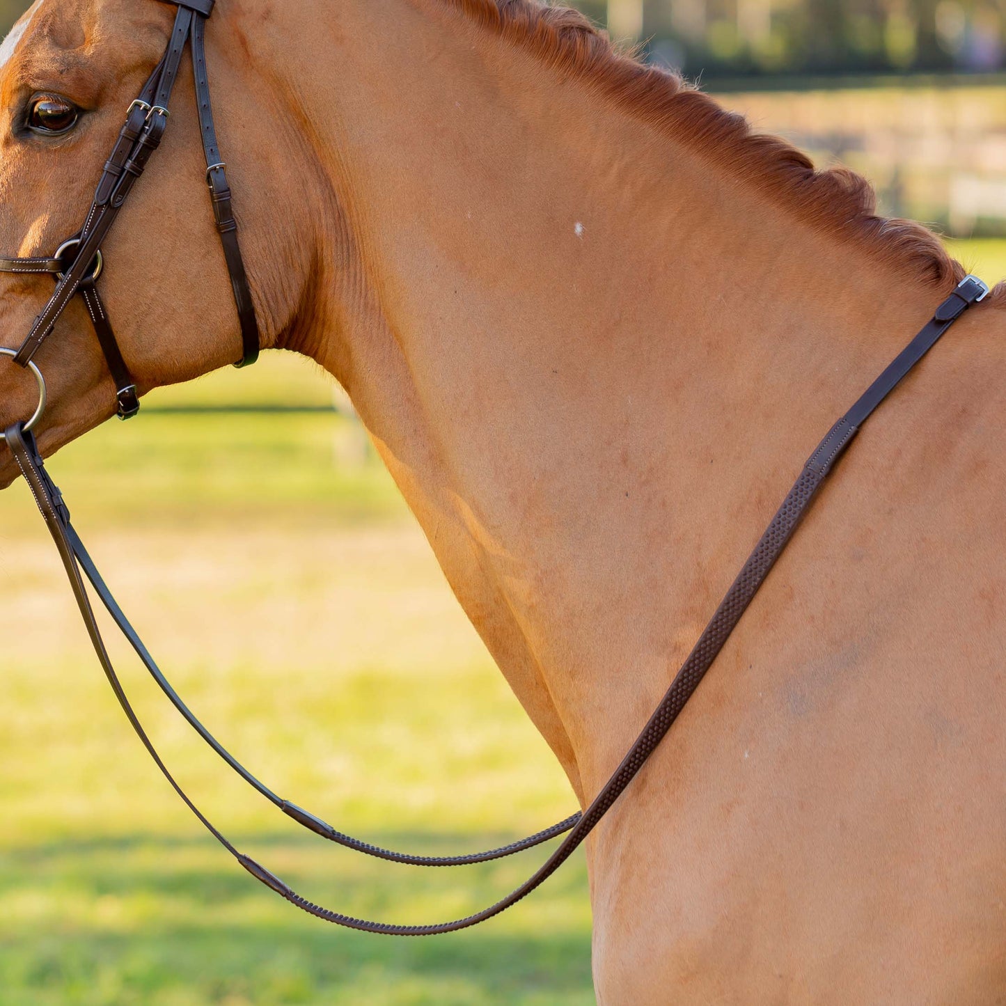 Saga Web Rubber Reins