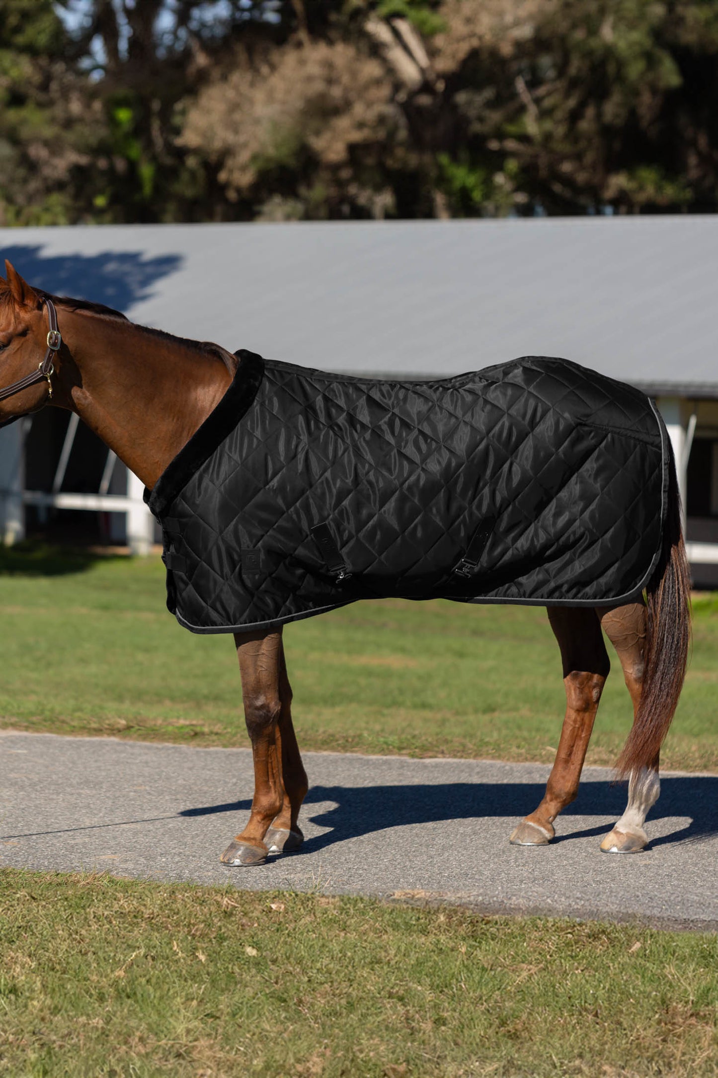 Luksus Premium Stable Blanket