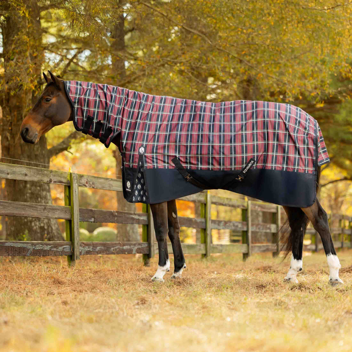 Equinavia Norse Full Neck Turnout Blanket 200g