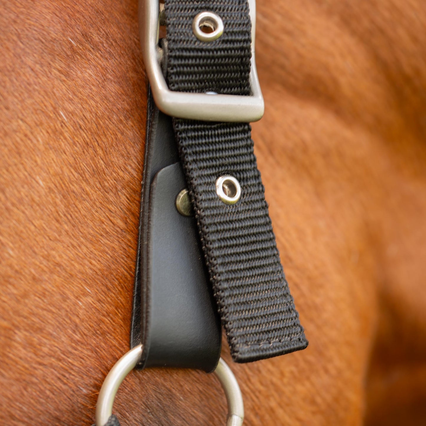Saga Fleece Padded Breakaway Halter