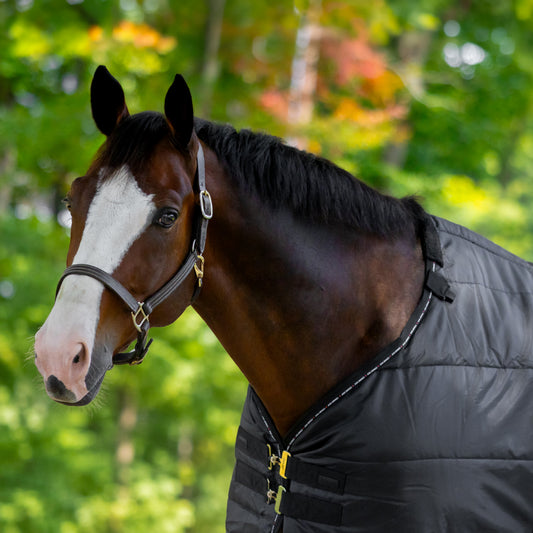 Horze Cairo Infrared Therapy Stable Blanket
