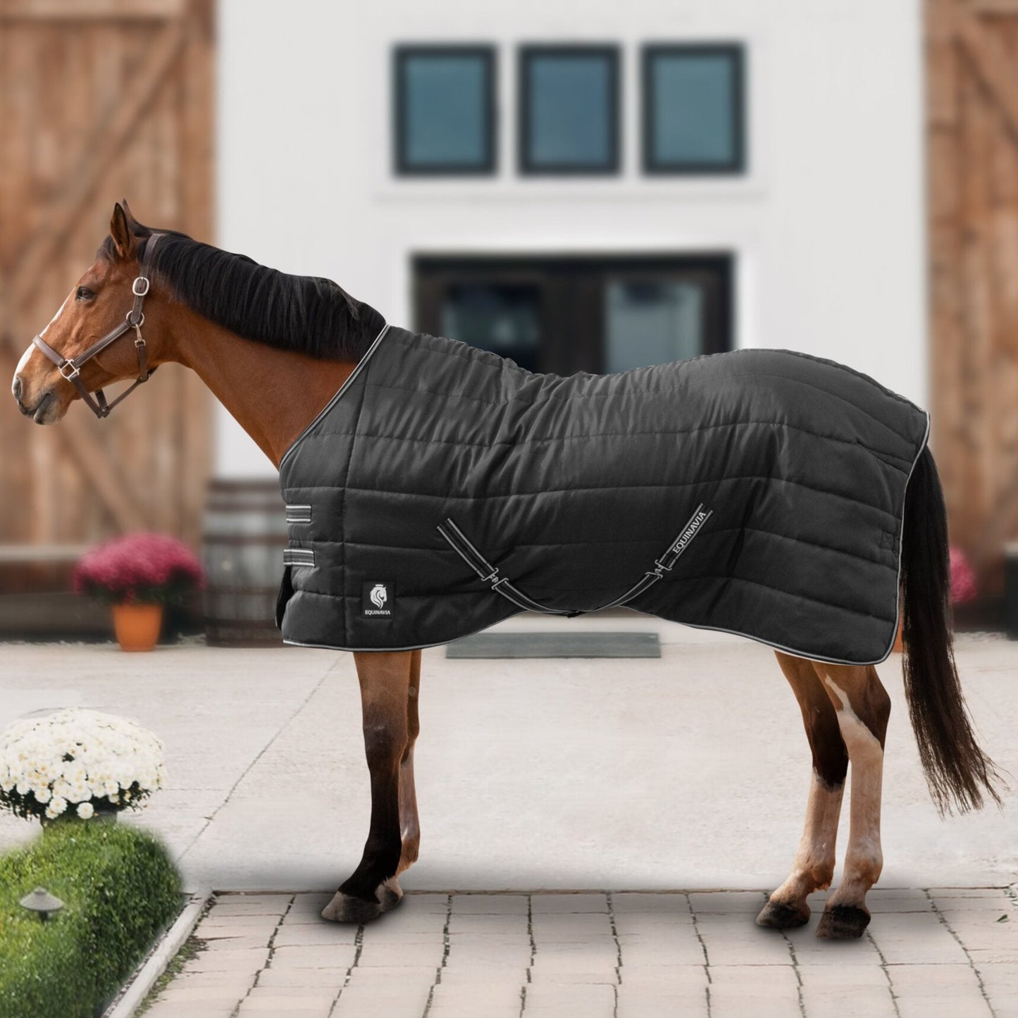 Norse Stable Blanket 200g