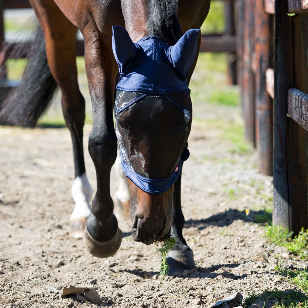 Cayman Fly Mask