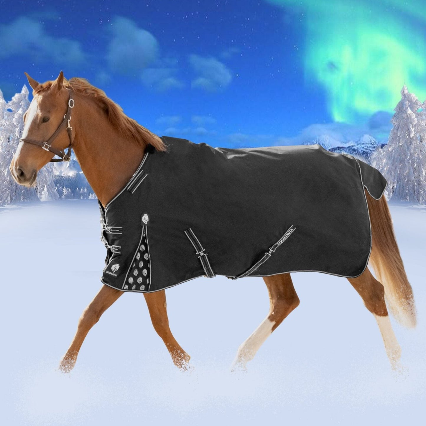 Norse Turnout Sheet