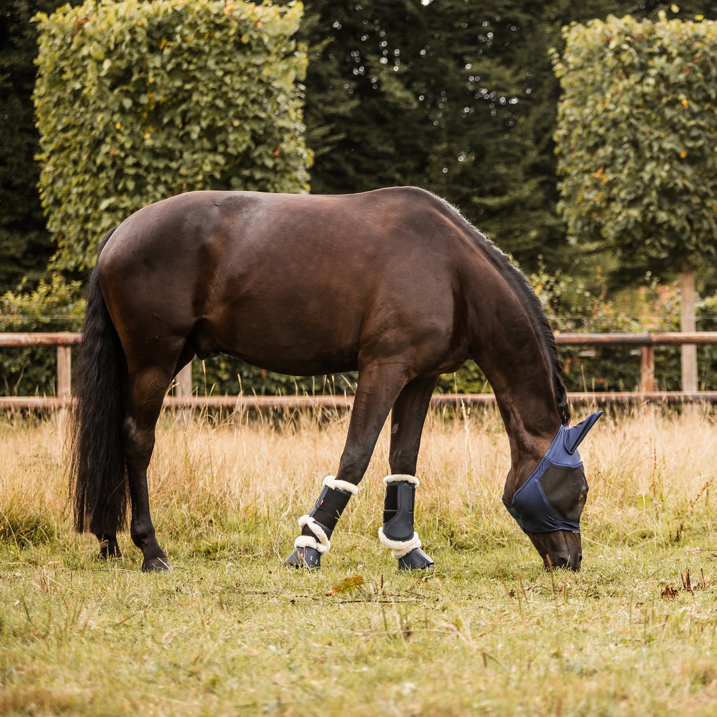 Cayman Fly Mask