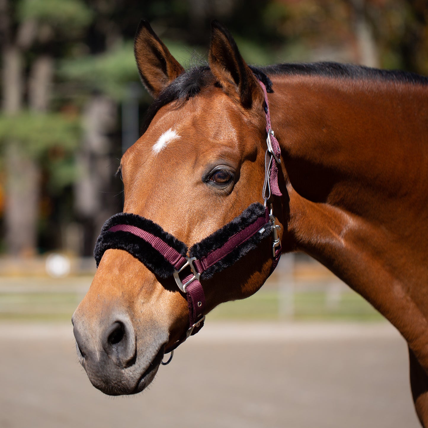 Valkyrie Ultra Fleece Breakaway Halter