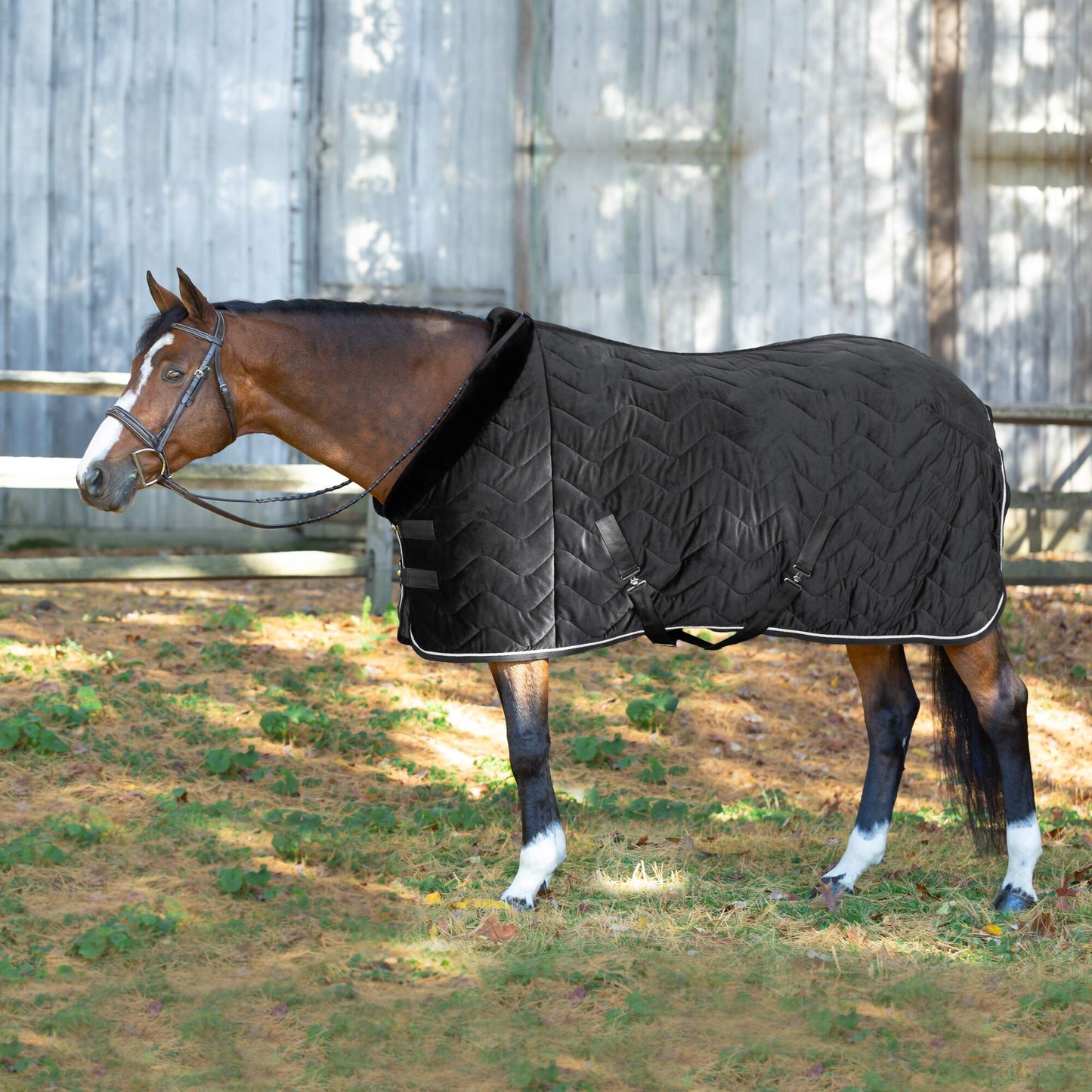 Luksus Premium Cooler