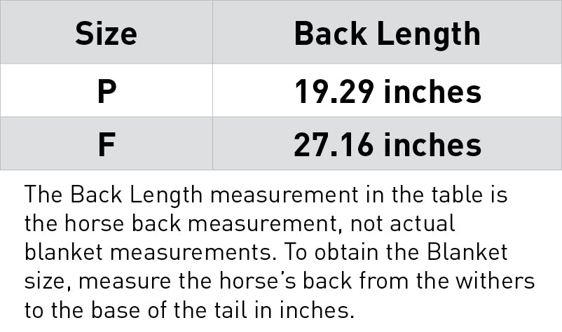 Santa Riding Blanket