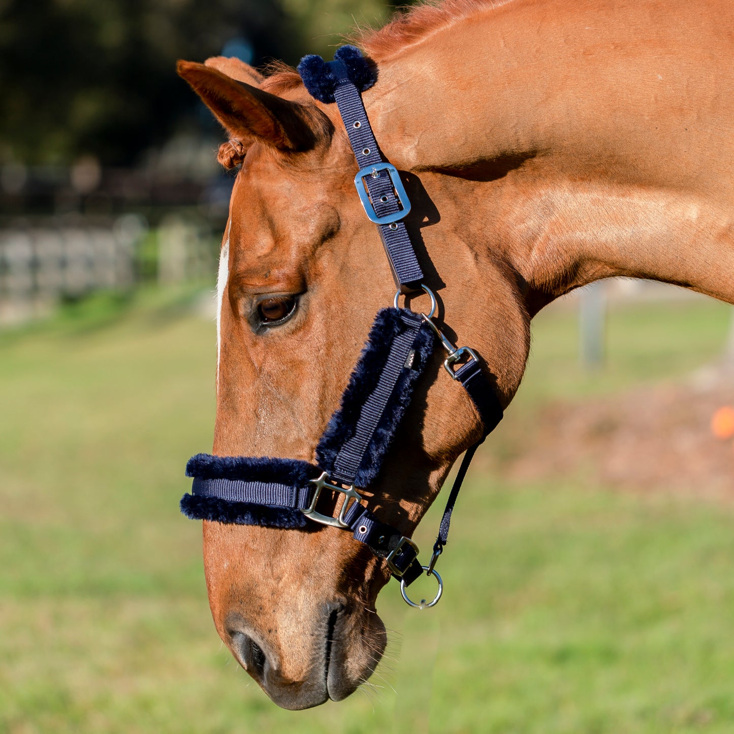 Valkyrie Ultra Fleece Breakaway Halter
