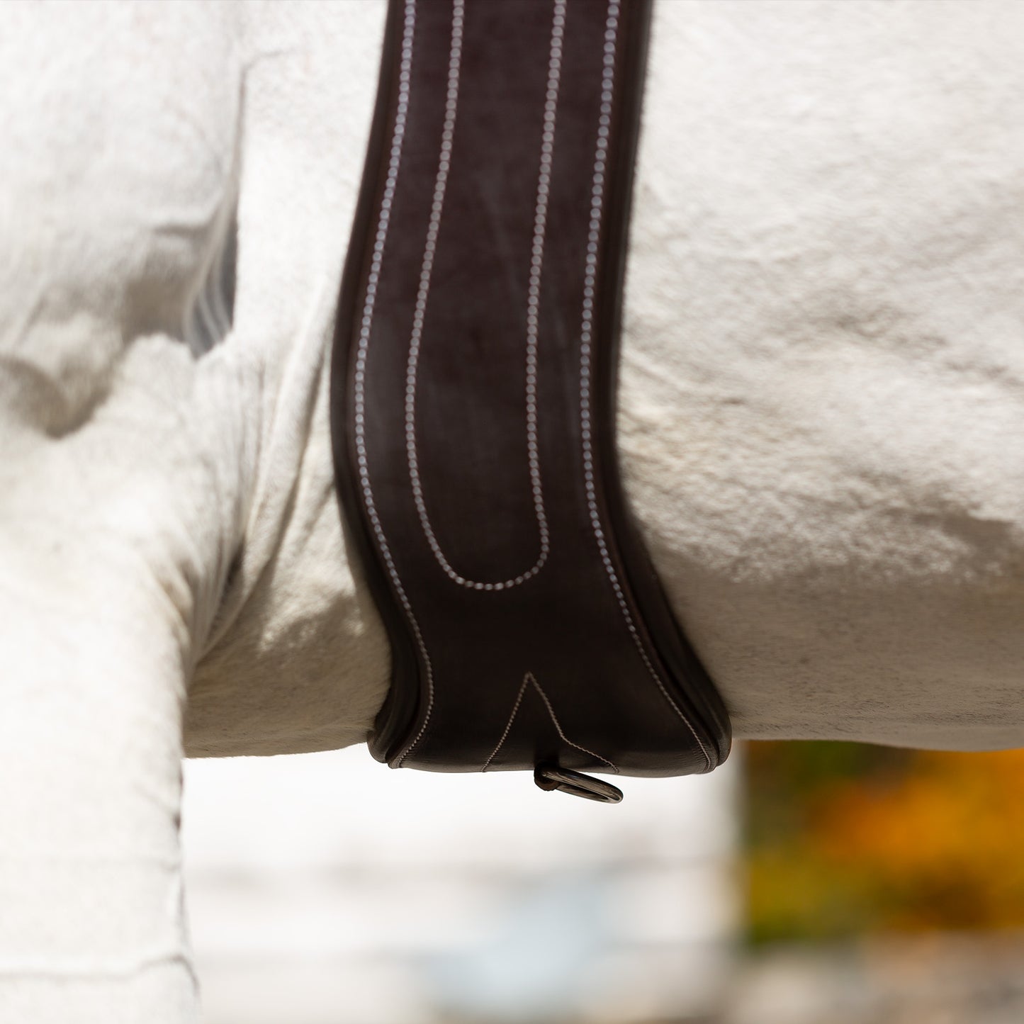 Valkyrie Anatomical Long Girth