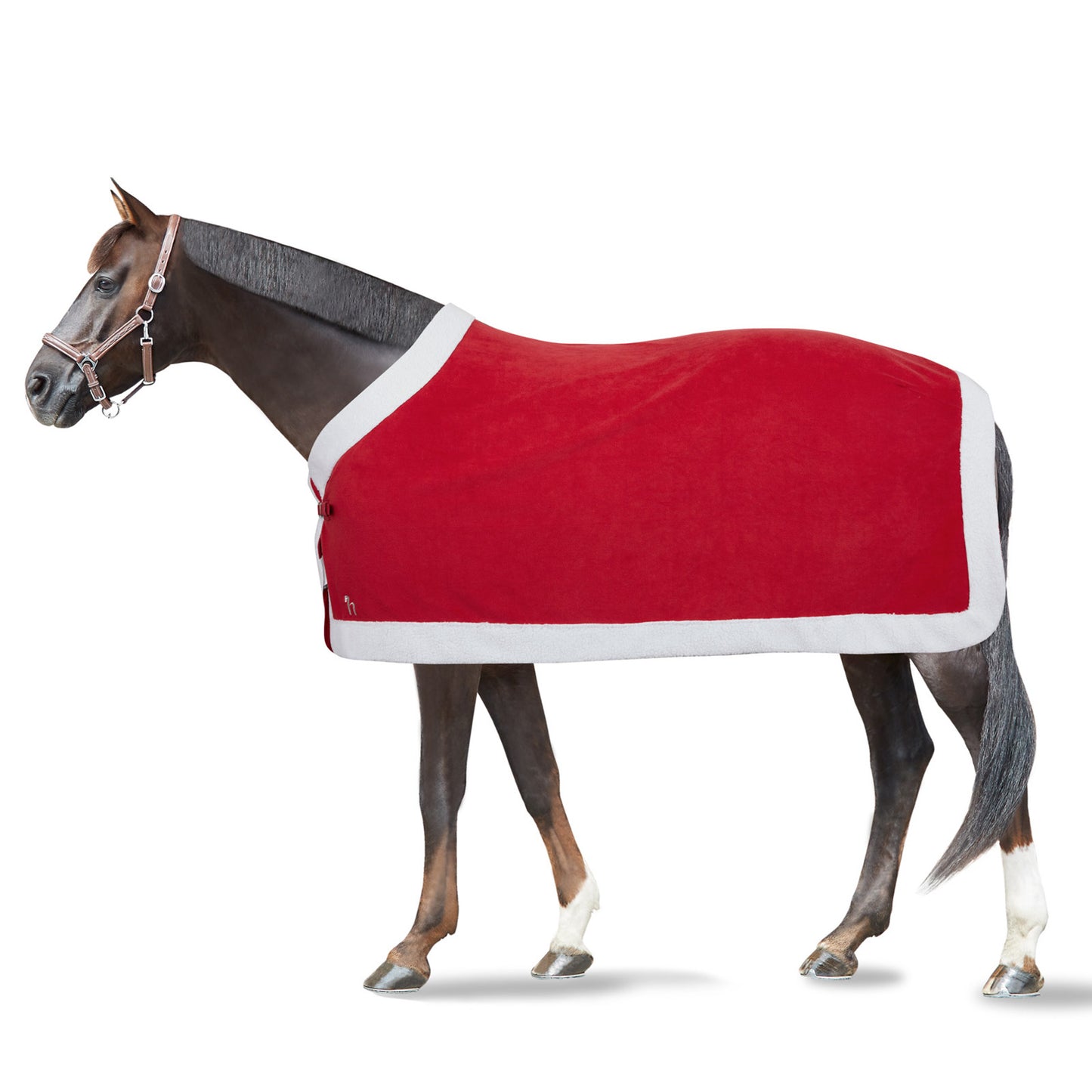 Santa Blanket