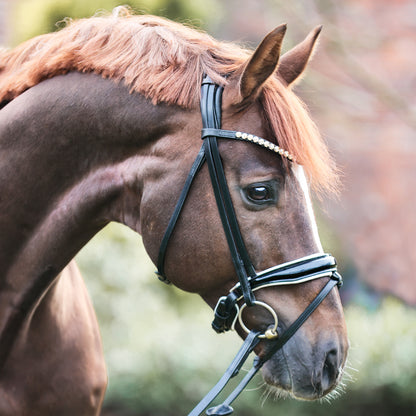 Kavalcade Fortuna Dressage Bridle