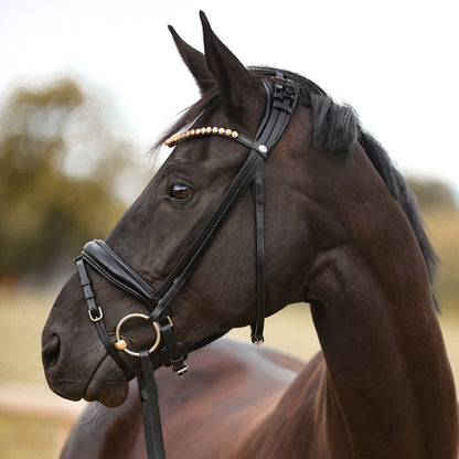 Kavalcade Fortuna Dressage Bridle