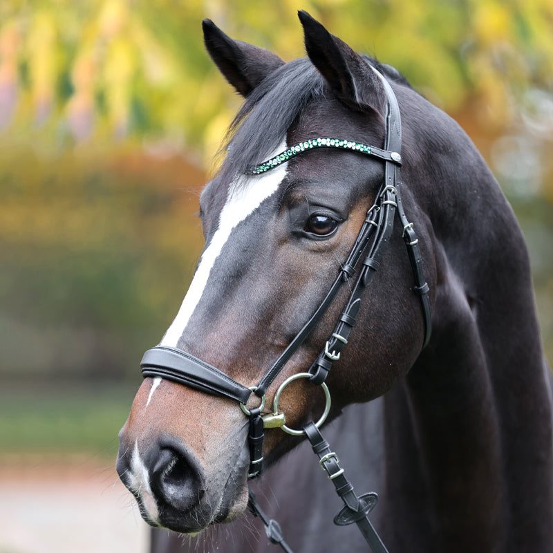 Kavalcade Sparkle Browband