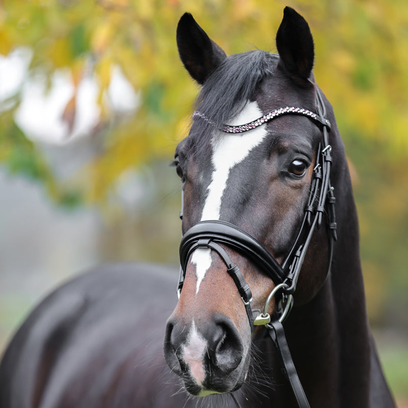 Kavalcade Sparkle Browband