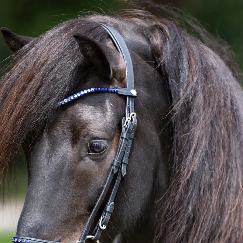 Kavalcade Delight Browband