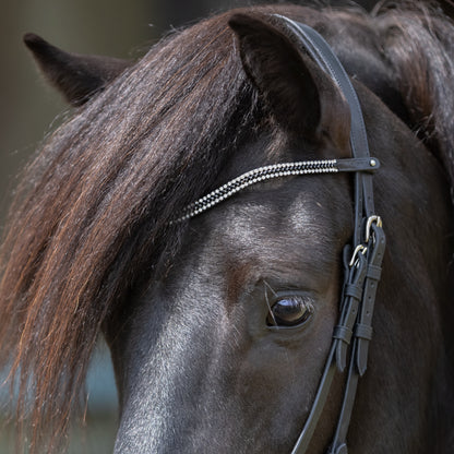 Kavalcade Button Browband
