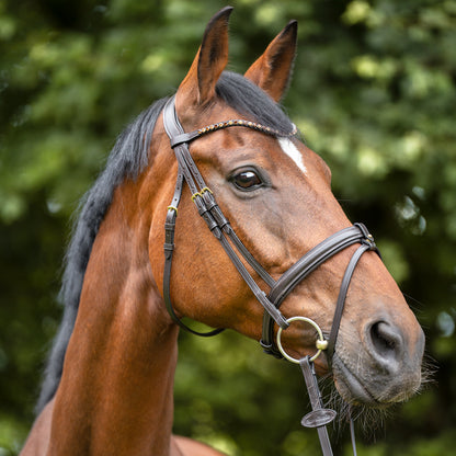 Kavalcade Splendid Browband