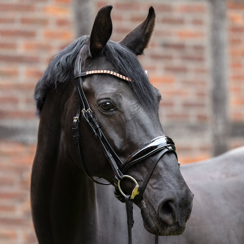 Kavalcade Square Browband
