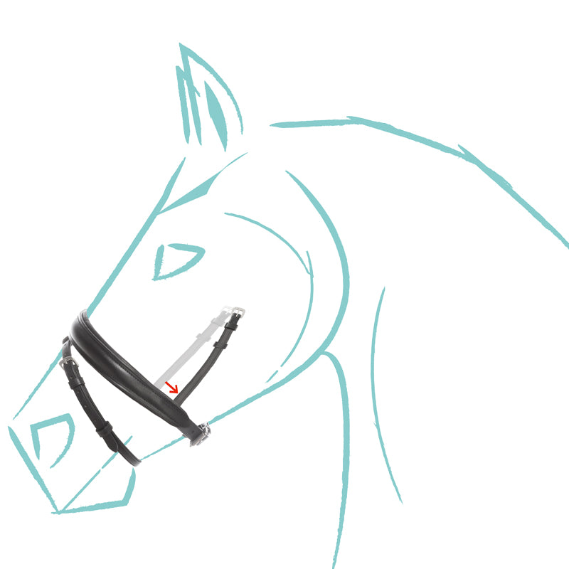 Kavalcade Cre8 KavalSH4 Noseband
