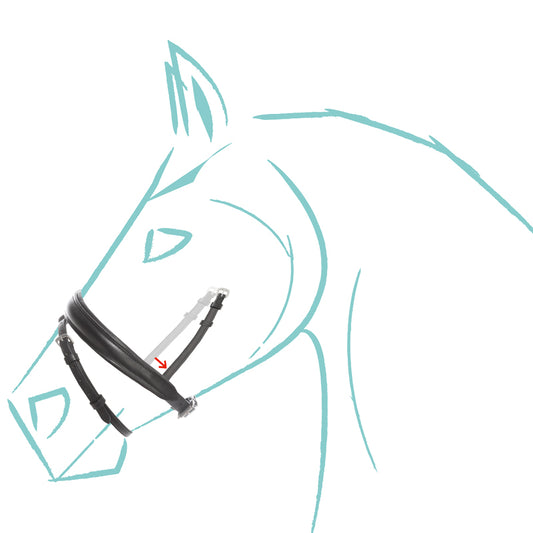 Kavalcade Cre8 KavalSH4 Noseband